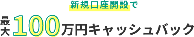 /assets/img/新規口座開設で、最大100万円キャッシュバック