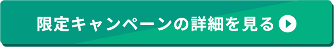 限定キャンペーンの詳細を見る